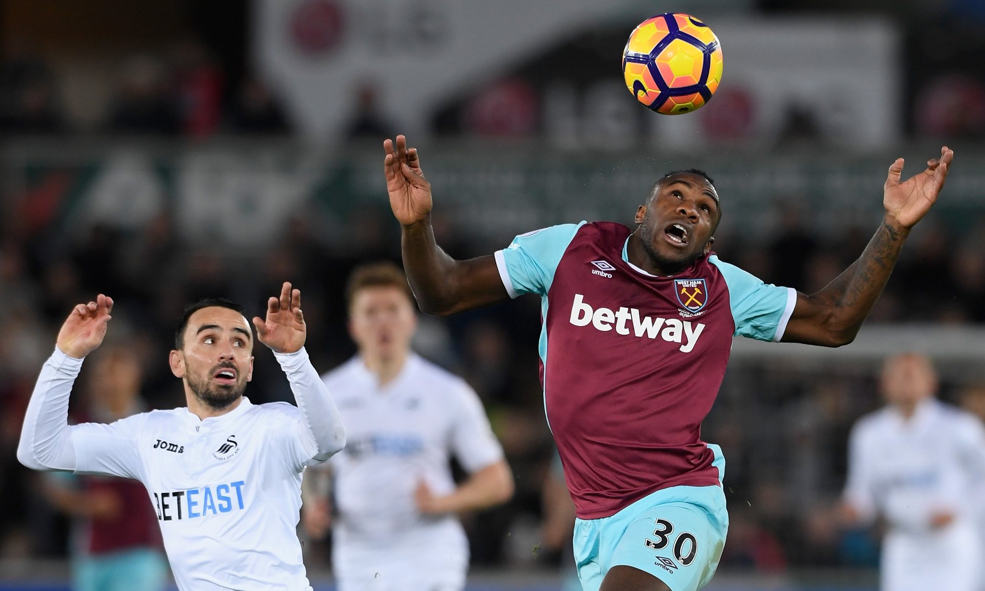 热烈的关注 热烈的关注